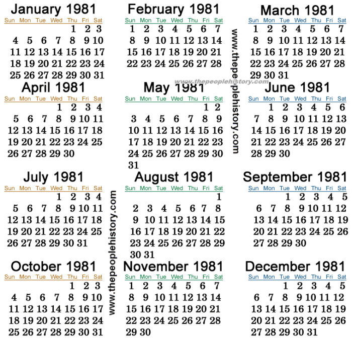 Calendar 1981 year printable