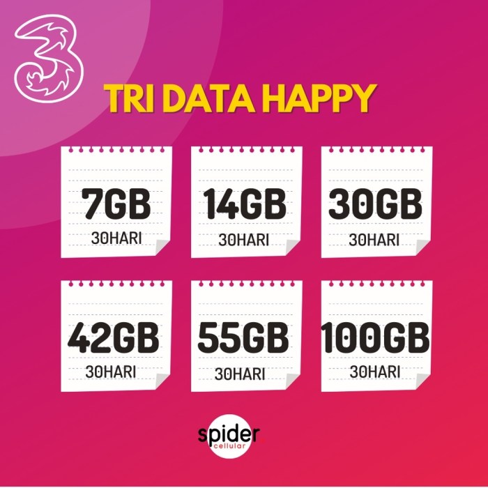 Cara paket tri 30gb 30 hari