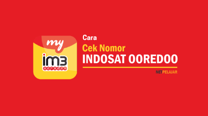 99858 indosat