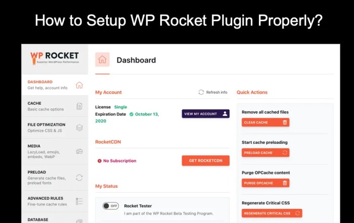 Cara Setting Plugin WP Rocket Terbaru