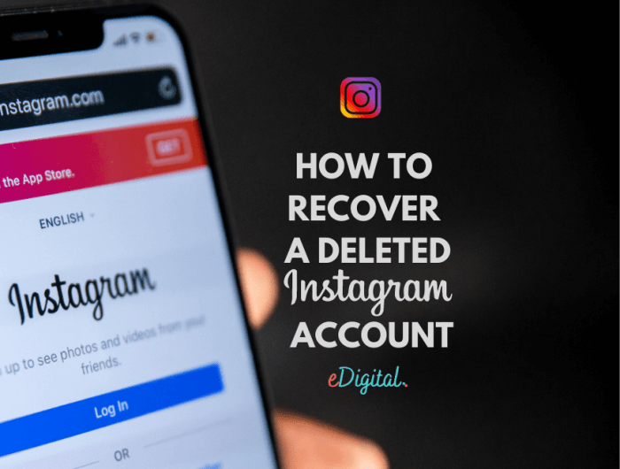 Cara melihat akun instagram yang sudah dihapus