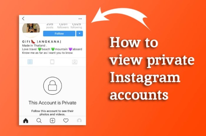 Cara melihat followers instagram orang lain yang di privasi