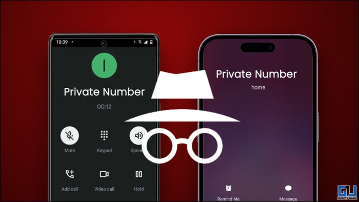 Cara mengetahui private number