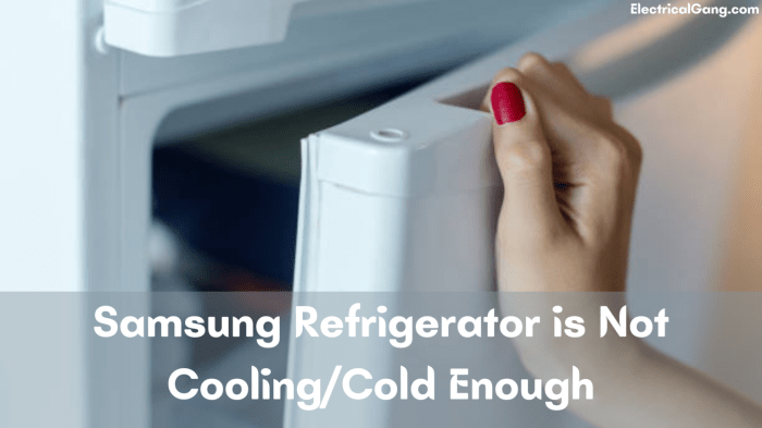 Refrigerator fan evaporator fix handyman fridge freezer not cooling remove family problems repair