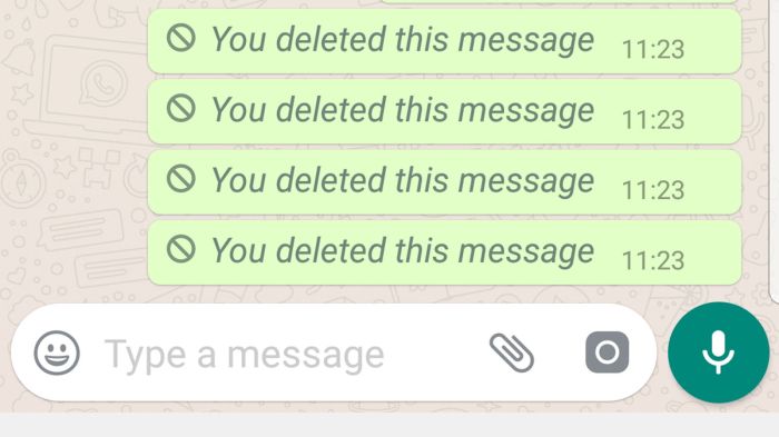 Deleted whatsapp messages