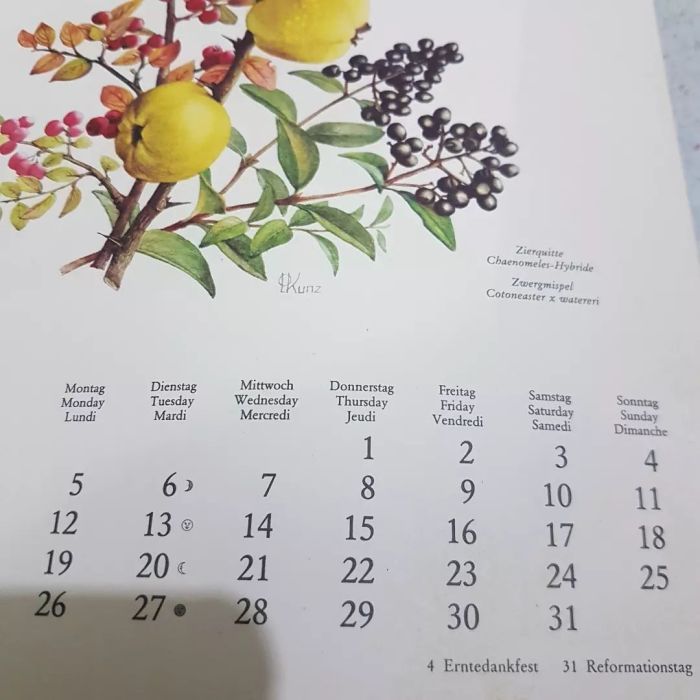 Bulan weton kalender 1981 lengkap dengan pasaran jawa