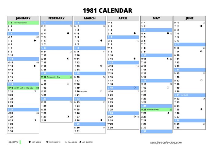 Calendar 1981 year printable