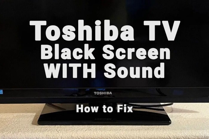 Tv toshiba tidak ada gambar