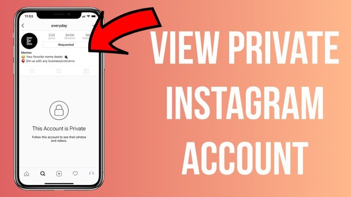 Cara melihat followers instagram orang lain yang di privasi