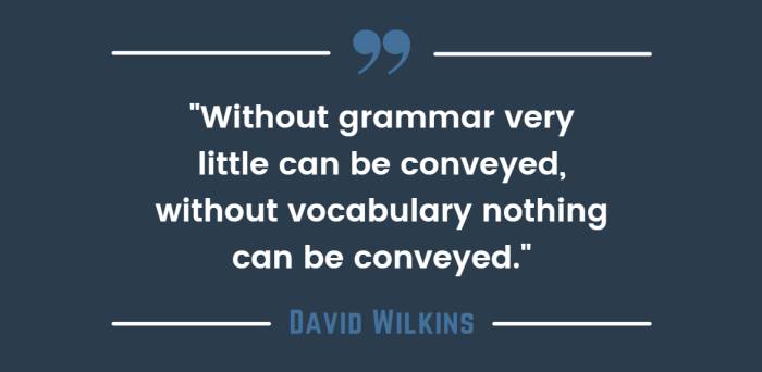 Vocabulary conveyed without nothing wilkins grammar little david very