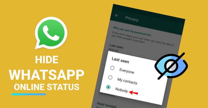 Apakah wa mod bisa melihat status yang di privasi