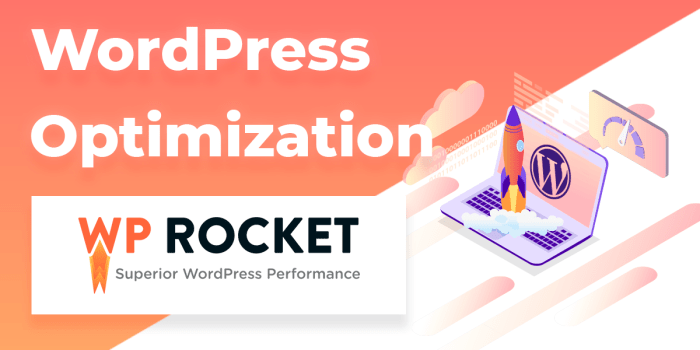 Cara Setting Plugin WP Rocket Terbaru